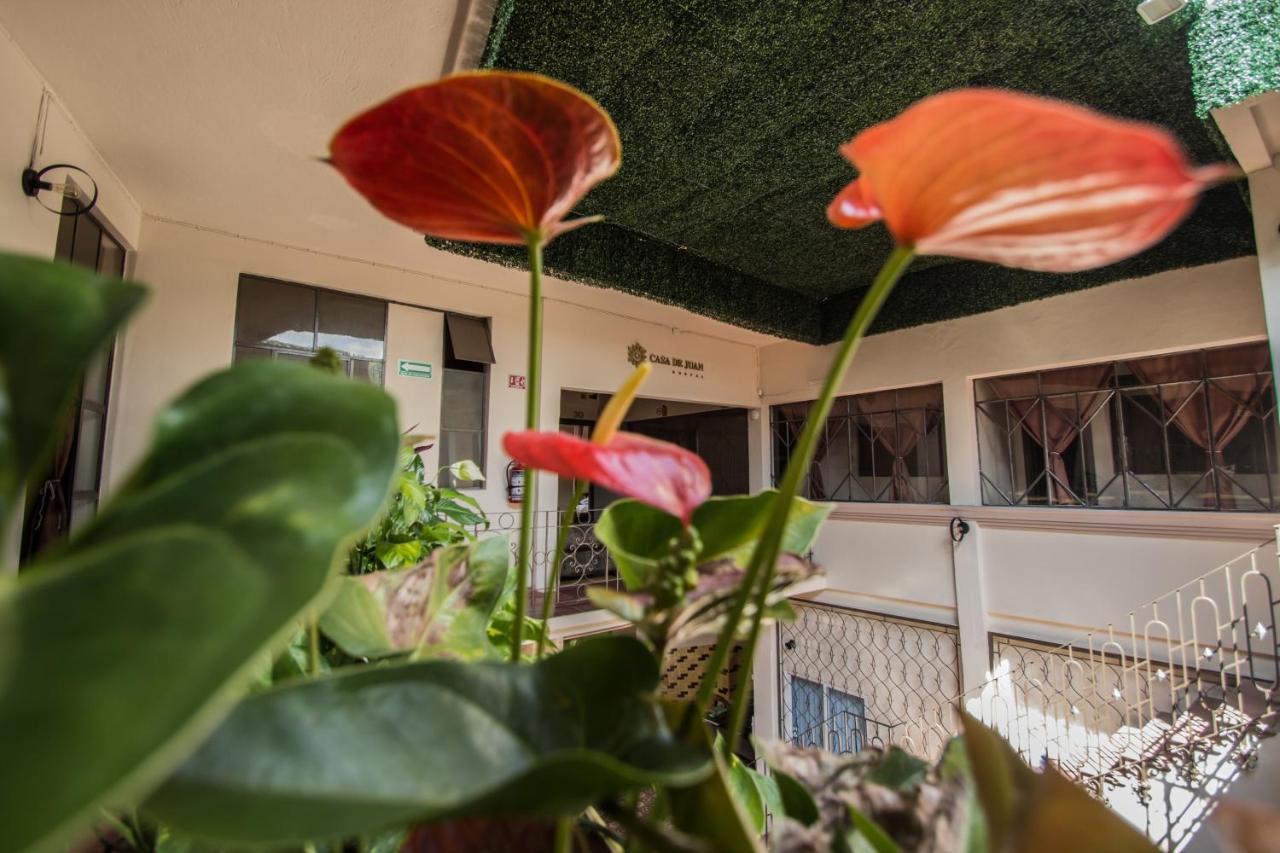 Casa De Juan Hostal Xalapa Kültér fotó